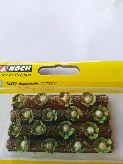 NOCH 13216 Cauliflower H0 1:87