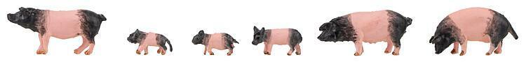 Faller 151916 6 Swabian-Hall swine 1:87